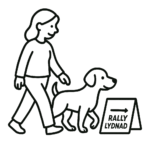 Öppen rallylydnadsträning