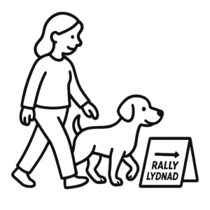2026-08-08 | Rallylydnad - Nybörjare & mästare