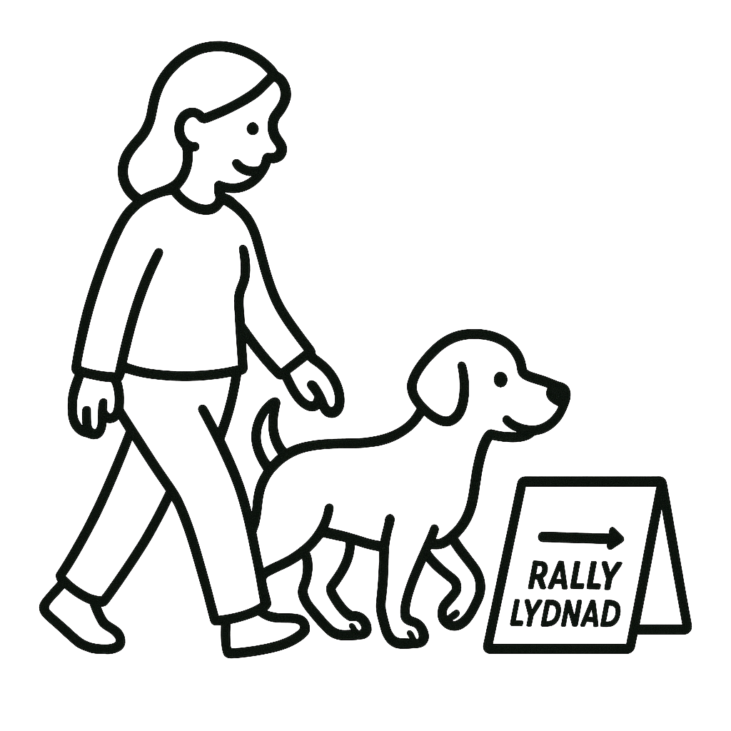 Öppen rallylydnadsträning