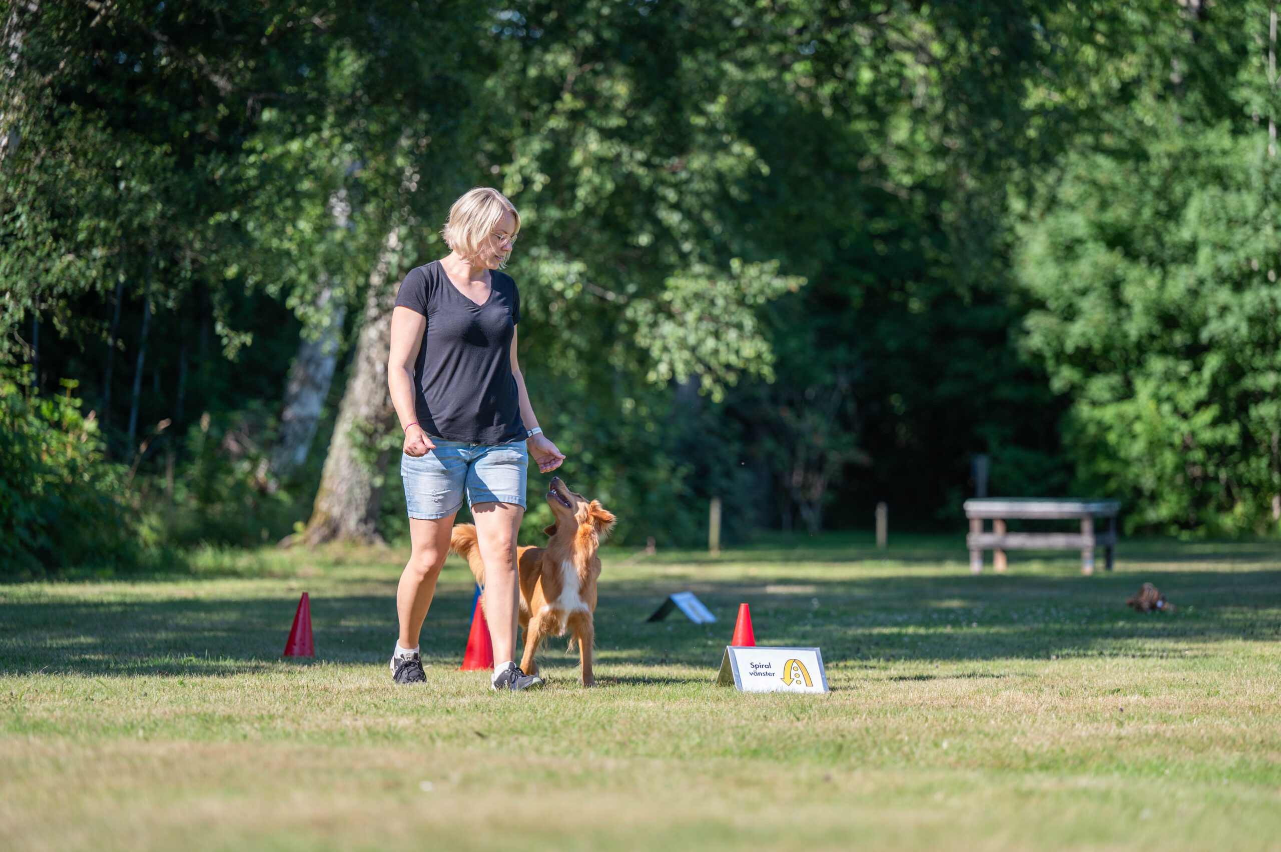 Rallylydnad nybörjarklass steg 2