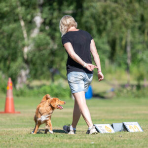 Tematräning banträning Rallylydnad Nybörjare och Fortsättning